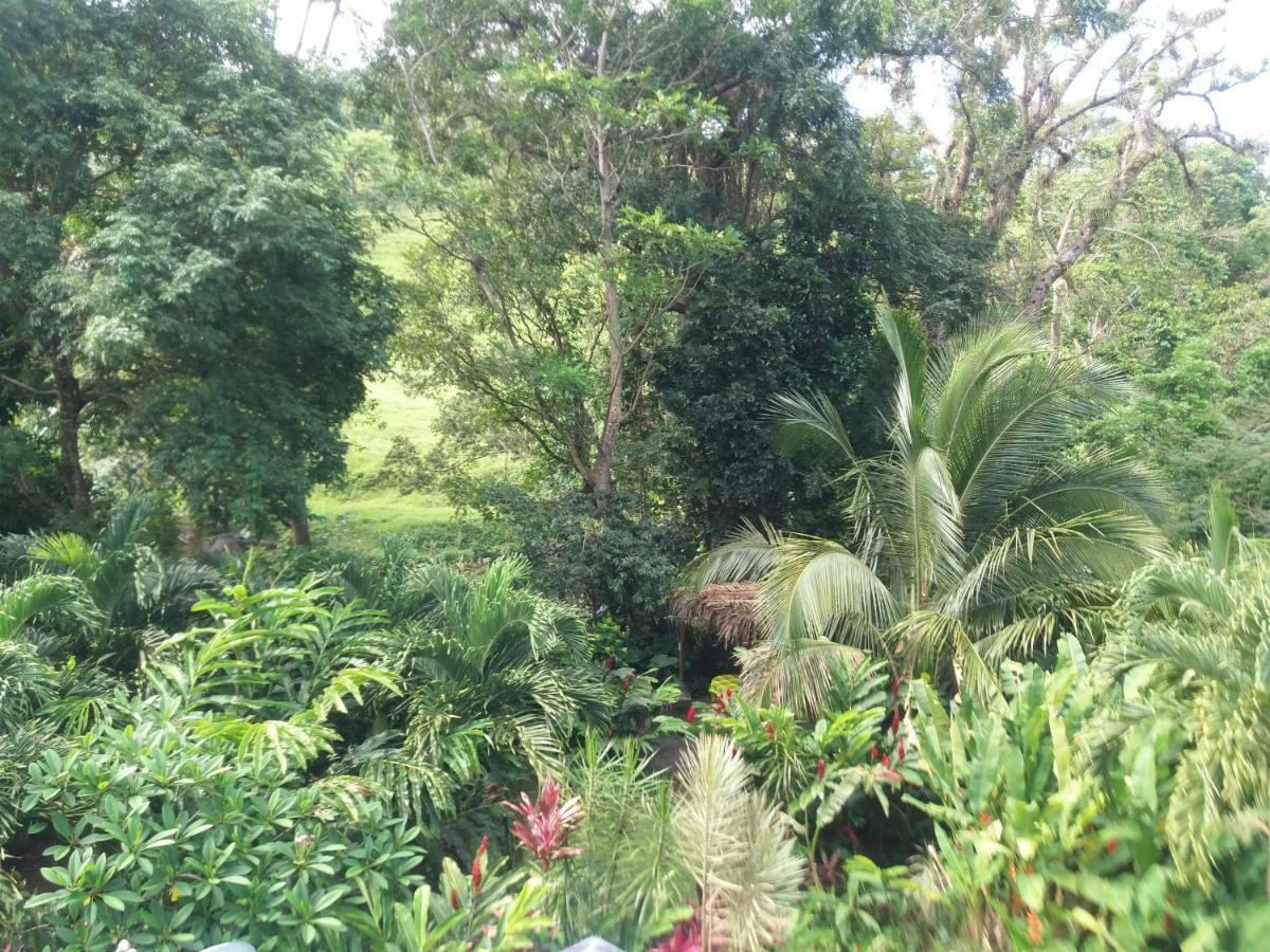 Ti Plen Kreol Villa Pointe-Noire Bagian luar foto